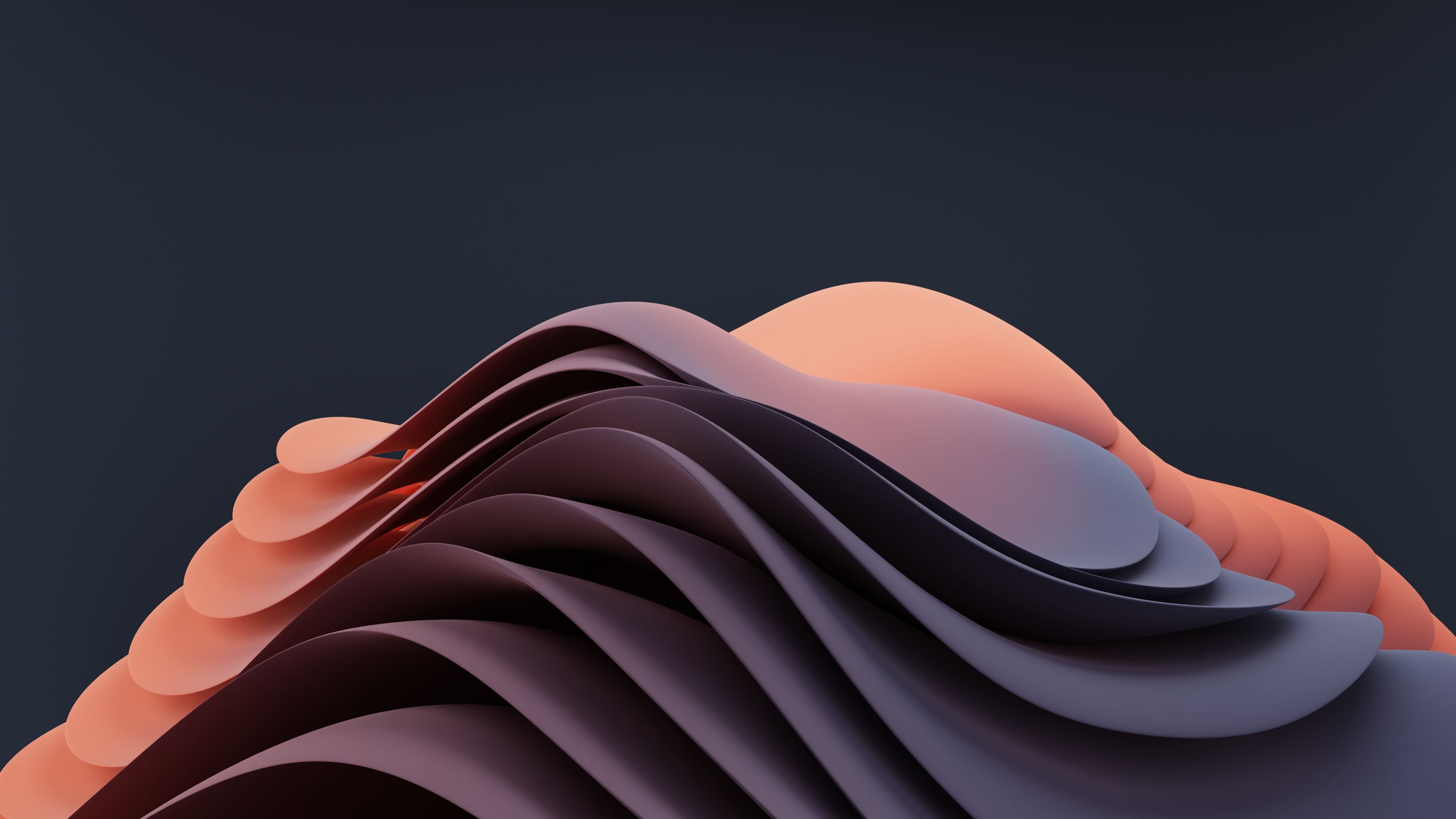 Midnight Reverie, detail view